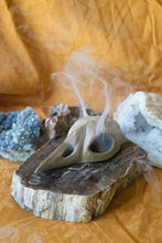 Load image into Gallery viewer, SECONDS SALE Bird Skull Incense Burner with Raw Beige Clay Body and Shiny Beak - Without Ceramic Base Plate