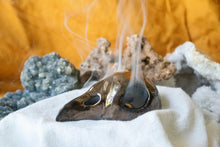 Load image into Gallery viewer, Mini Bird Skull Incense Burner with Mirror Finish - Without Ceramic Base Plate