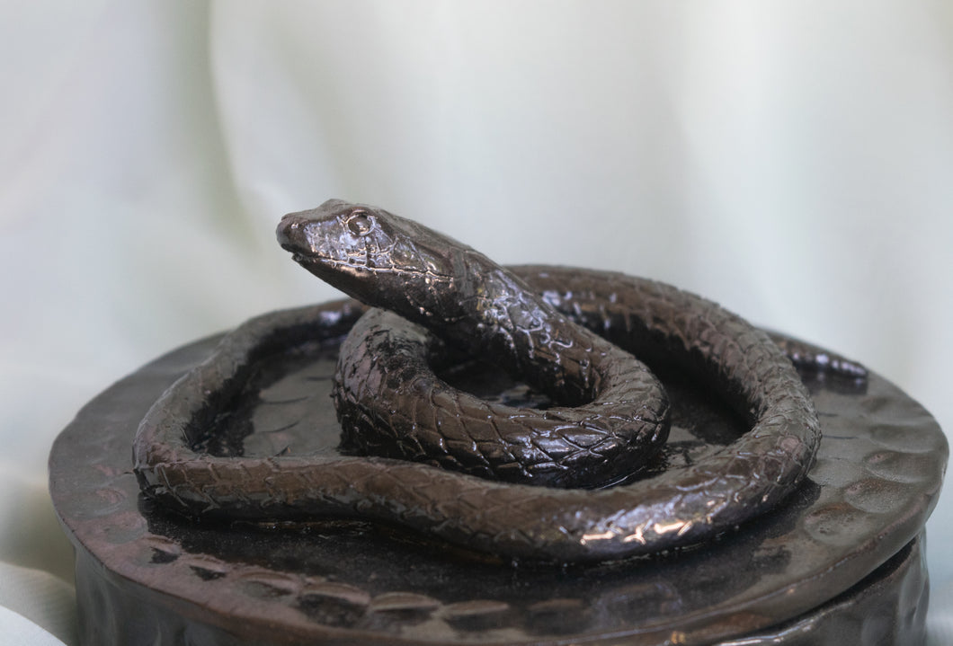 Ceramic Snake Jewelry or Trinket Box