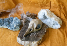 Load image into Gallery viewer, SECONDS SALE Bird Skull Incense Burner with Raw Beige Clay Body and Shiny Beak - Without Ceramic Base Plate
