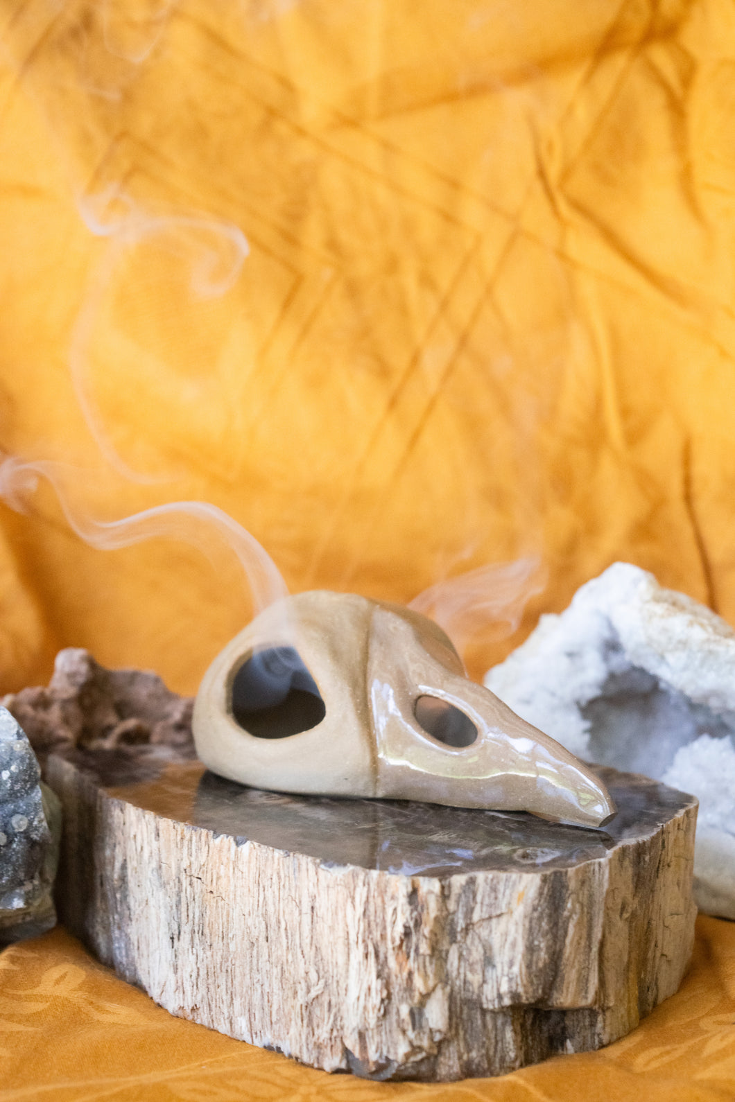 SECONDS SALE Bird Skull Incense Burner with Raw Beige Clay Body and Shiny Beak - Without Ceramic Base Plate