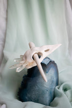 Load image into Gallery viewer, Polymer Clay Bird Skull Hair Jewelry
