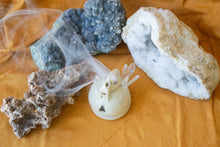 Load image into Gallery viewer, Mini Saber Tooth Tiger Skull Incense Burner with Glass Crystals
