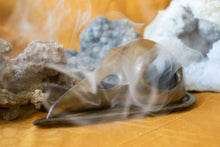 Load image into Gallery viewer, Bird Skull Incense Burner with Golden Matte Glaze
