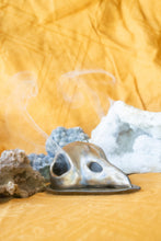 Load image into Gallery viewer, Bird Skull Incense Burner with Golden Matte Glaze
